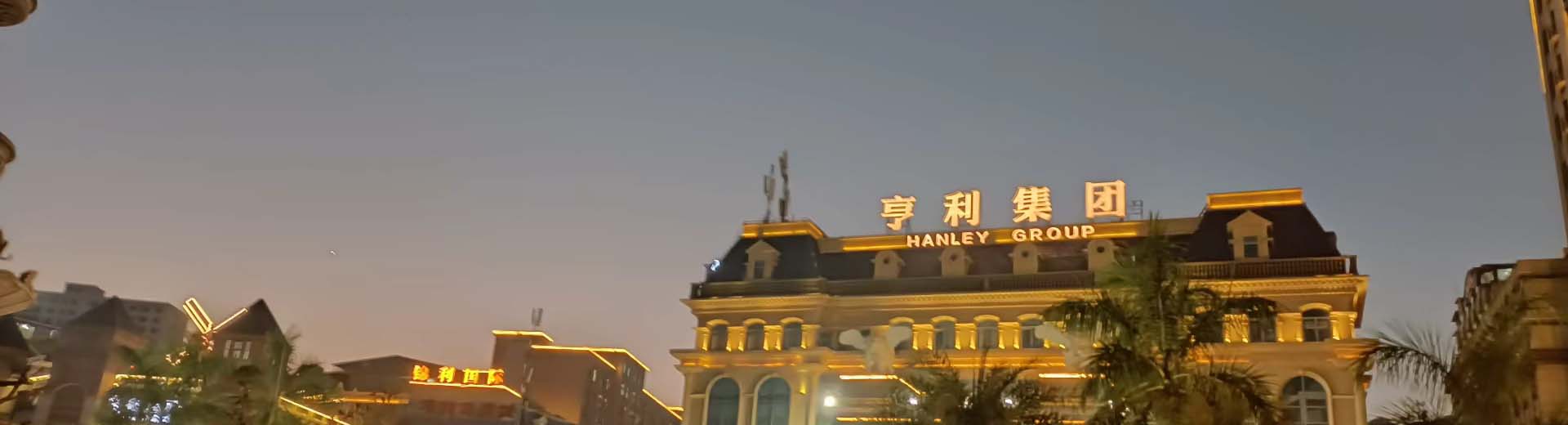 腾龙国际公司
