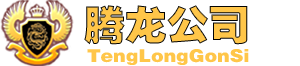 腾龙国际公司